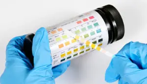 urinalysis nutley nj